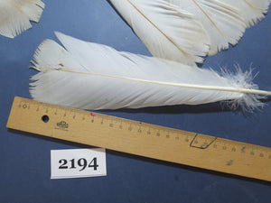 28 Pcs Turkey Tail Feathers, Fly Tying Material,Craft Feathers,Natural Turkey Feathers (2194)