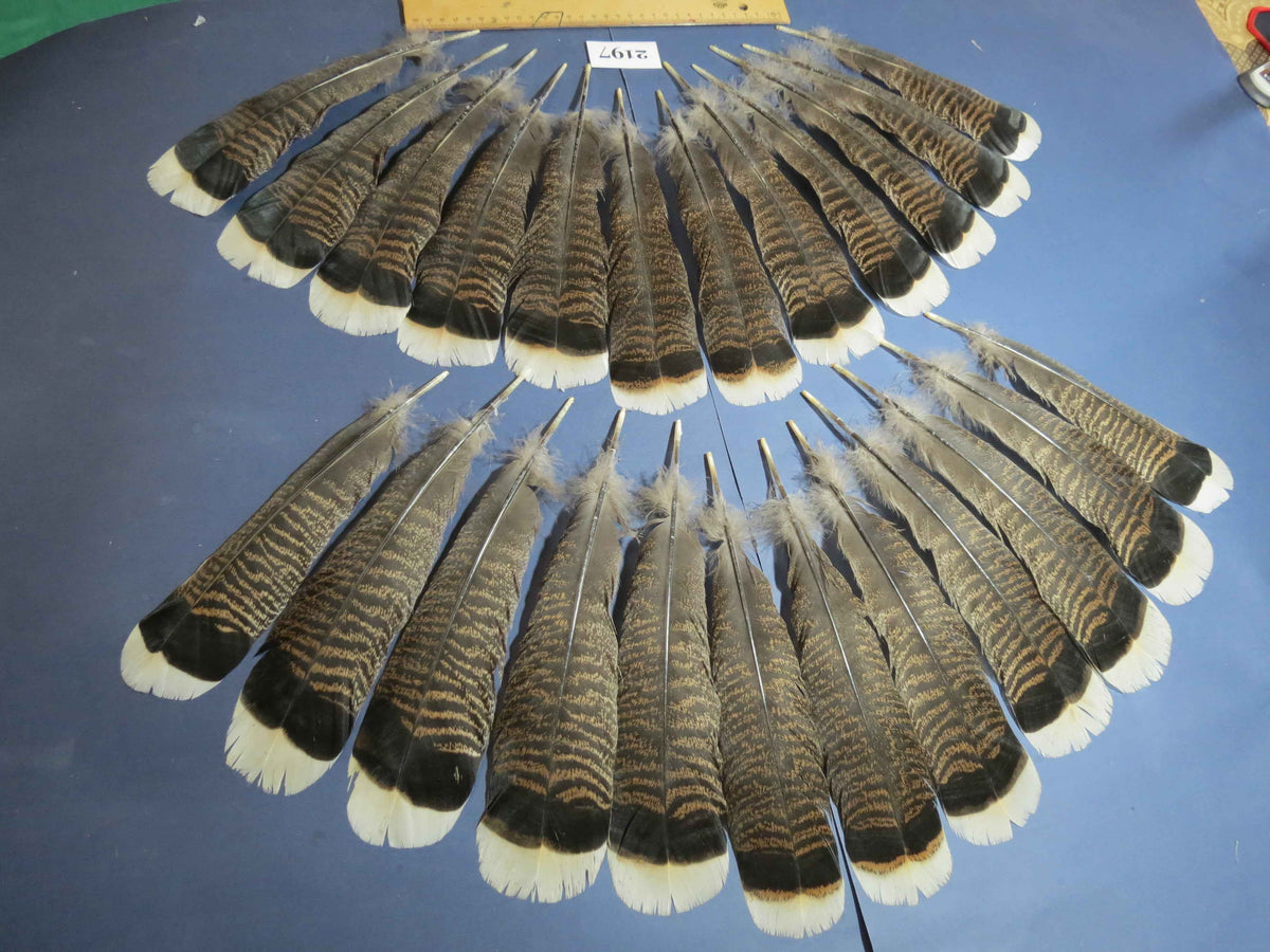 24 Pcs Turkey Tail Feathers, Fly Tying Material,Craft Feathers,Natural Turkey Feathers (2197)