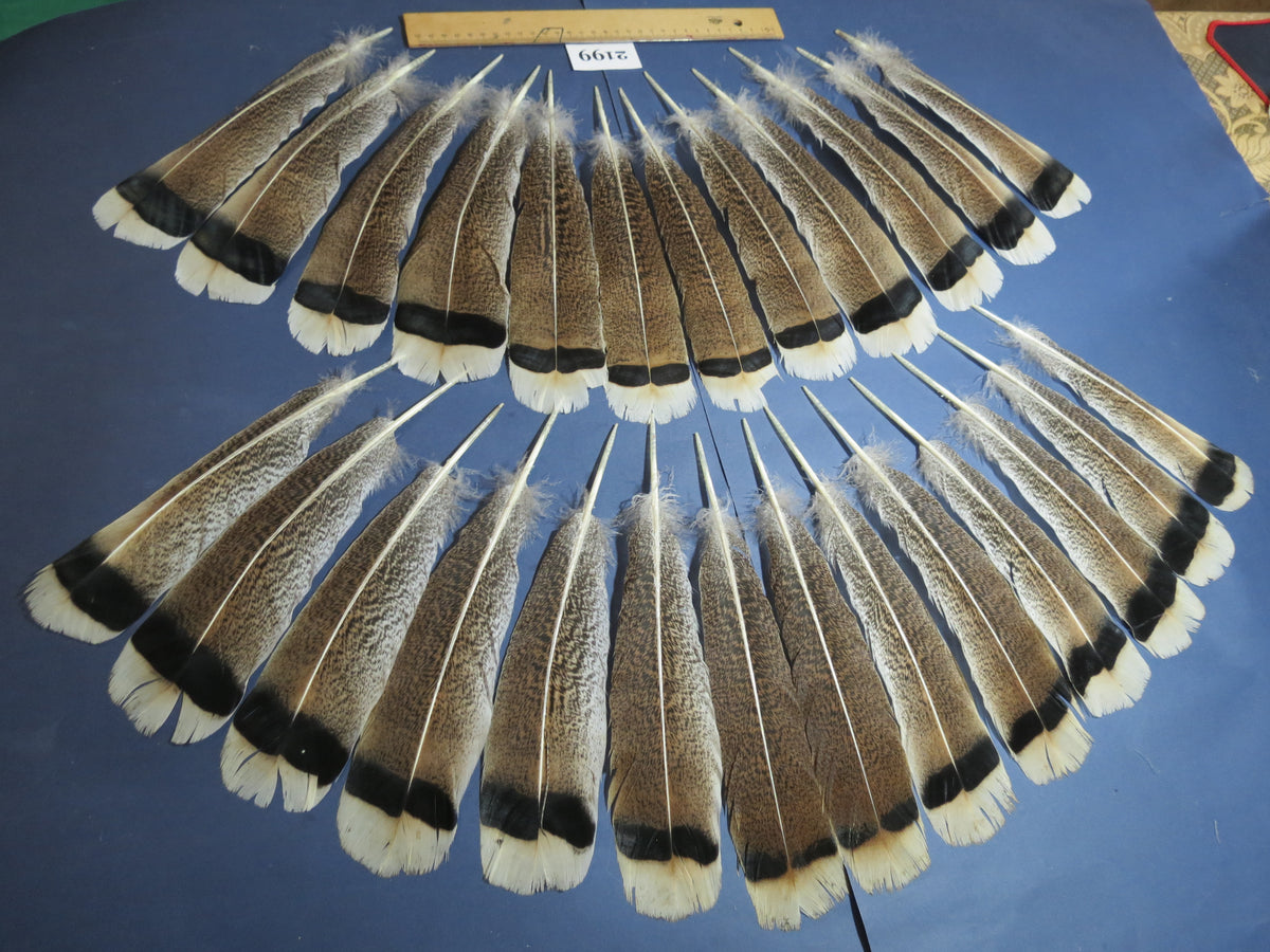 26 Pcs Turkey Tail Feathers, Fly Tying Material,Craft Feathers,Natural Turkey Feathers (2199)