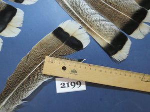26 Pcs Turkey Tail Feathers, Fly Tying Material,Craft Feathers,Natural Turkey Feathers (2199)