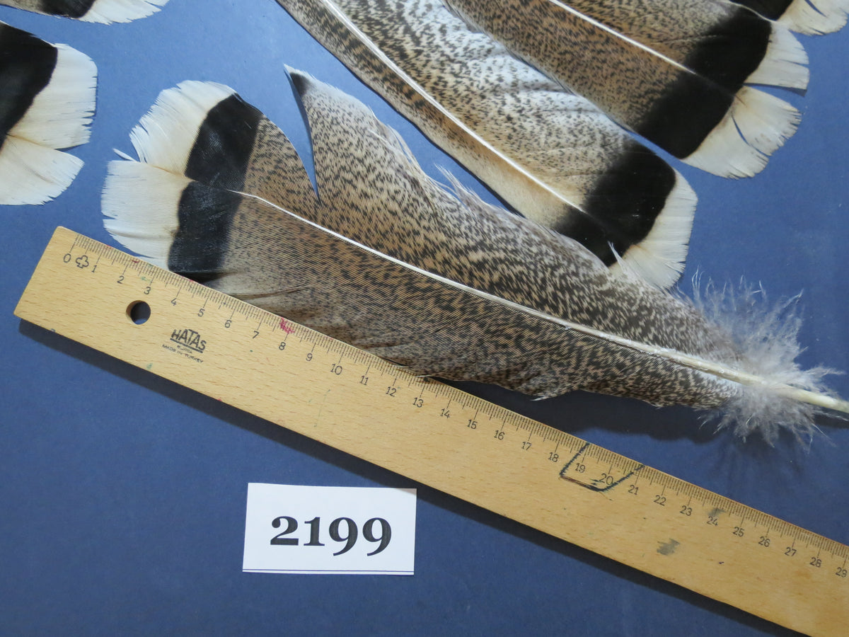 26 Pcs Turkey Tail Feathers, Fly Tying Material,Craft Feathers,Natural Turkey Feathers (2199)