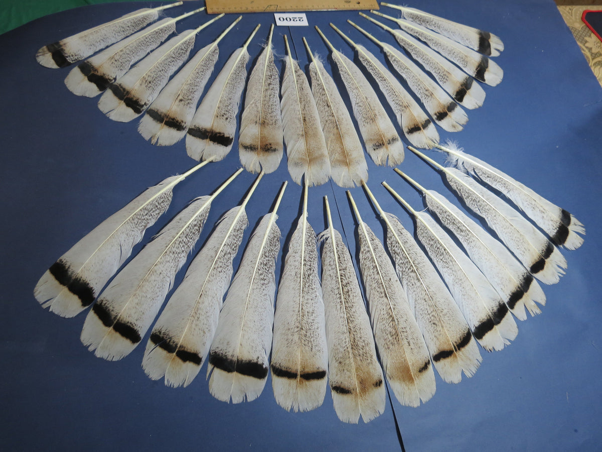 26 Pcs Turkey Tail Feathers, Fly Tying Material,Craft Feathers,Natural Turkey Feathers (2200)