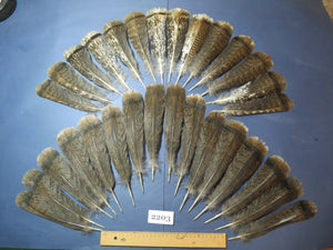 30 Pcs Turkey Tail Feathers, Fly Tying Material,Craft Feathers,Natural Turkey Feathers (2203)