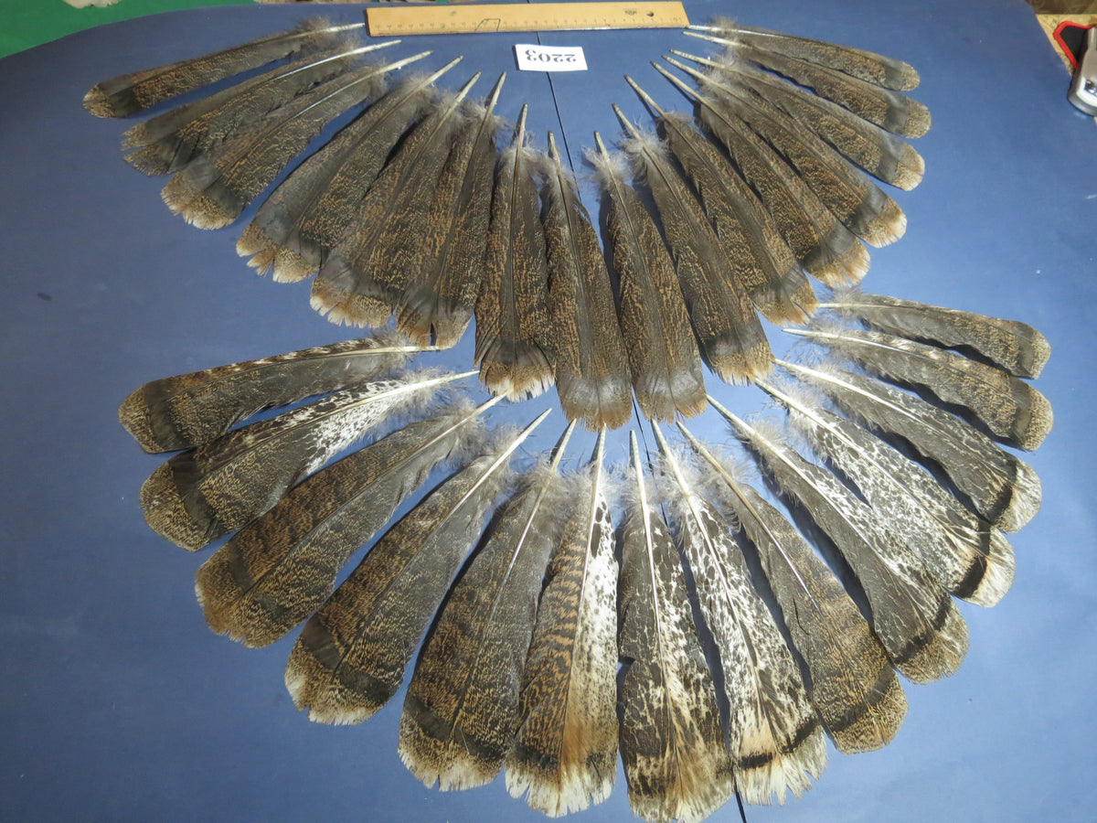 30 Pcs Turkey Tail Feathers, Fly Tying Material,Craft Feathers,Natural Turkey Feathers (2203)