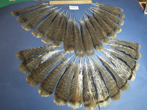 30 Pcs Turkey Tail Feathers, Fly Tying Material,Craft Feathers,Natural Turkey Feathers (2203)