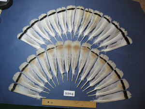30 Pcs Turkey Tail Feathers, Fly Tying Material,Craft Feathers,Natural Turkey Feathers (2204)