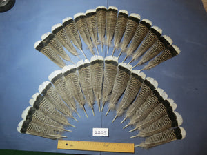 30 Pcs Turkey Tail Feathers, Fly Tying Material,Craft Feathers,Natural Turkey Feathers (2205)