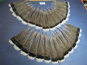 30 Pcs Turkey Tail Feathers, Fly Tying Material,Craft Feathers,Natural Turkey Feathers (2205)