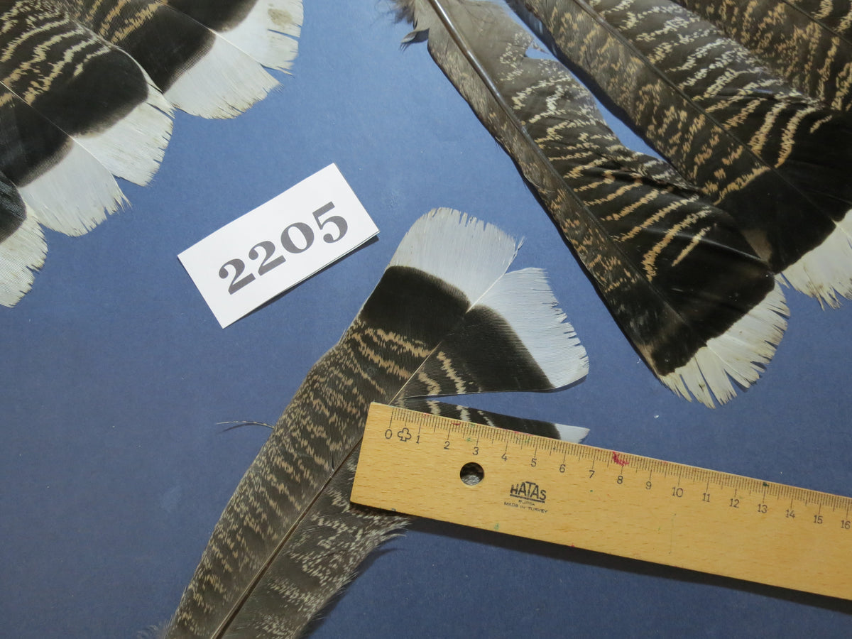 30 Pcs Turkey Tail Feathers, Fly Tying Material,Craft Feathers,Natural Turkey Feathers (2205)