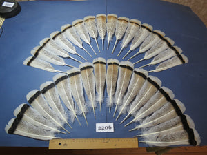 32 Pcs Turkey Tail Feathers, Fly Tying Material,Craft Feathers,Natural Turkey Feathers (2206)