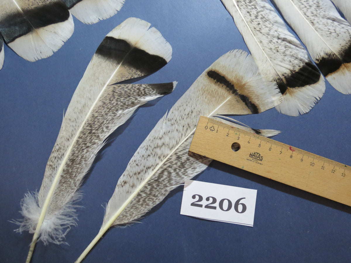 32 Pcs Turkey Tail Feathers, Fly Tying Material,Craft Feathers,Natural Turkey Feathers (2206)