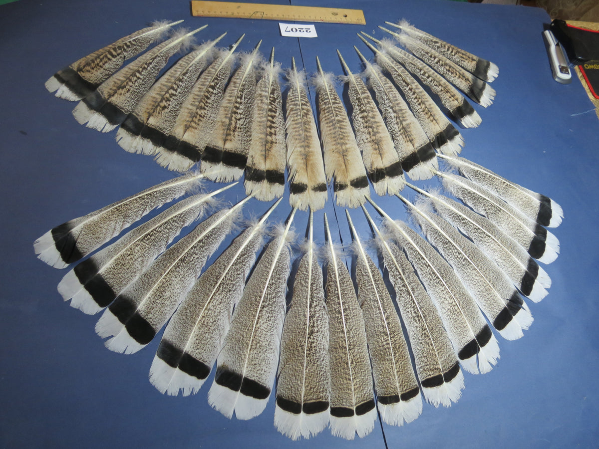 28 Pcs Turkey Tail Feathers, Fly Tying Material,Craft Feathers,Natural Turkey Feathers (2207)