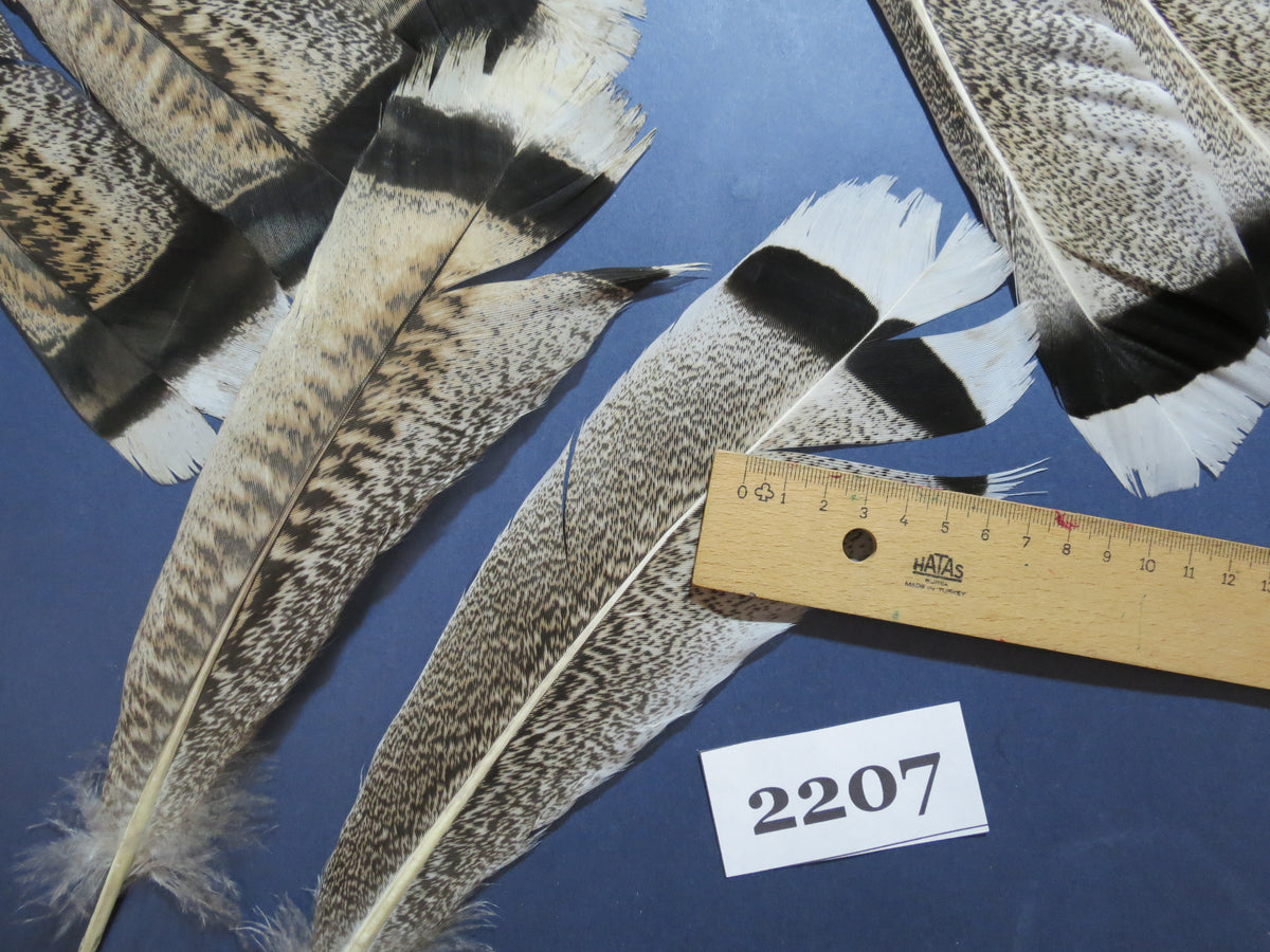 28 Pcs Turkey Tail Feathers, Fly Tying Material,Craft Feathers,Natural Turkey Feathers (2207)