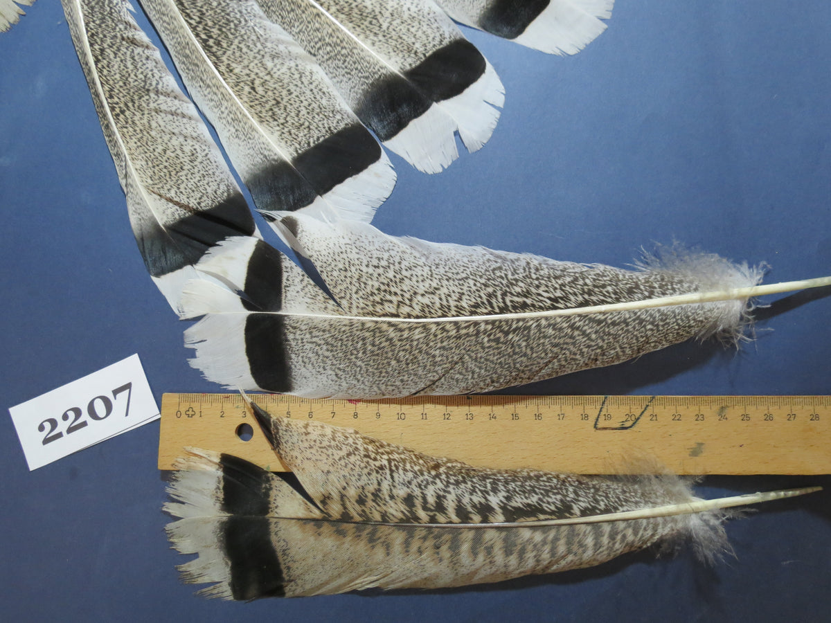 28 Pcs Turkey Tail Feathers, Fly Tying Material,Craft Feathers,Natural Turkey Feathers (2207)