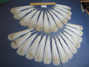 26 Pcs Turkey Tail Feathers, Fly Tying Material,Craft Feathers,Natural Turkey Feathers (2208)