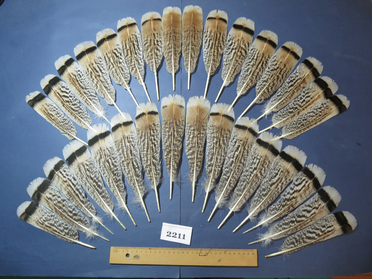32 Pcs Turkey Tail Feathers, Fly Tying Material,Craft Feathers,Natural Turkey Feathers (2211)