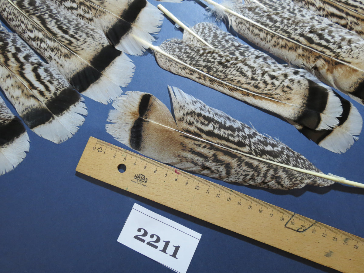 32 Pcs Turkey Tail Feathers, Fly Tying Material,Craft Feathers,Natural Turkey Feathers (2211)