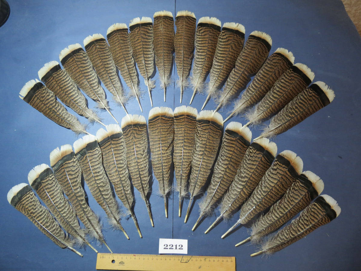 28 Pcs Turkey Tail Feathers, Fly Tying Material,Craft Feathers,Natural Turkey Feathers (2212)