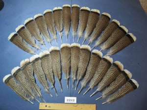 28 Pcs Turkey Tail Feathers, Fly Tying Material,Craft Feathers,Natural Turkey Feathers (2212)