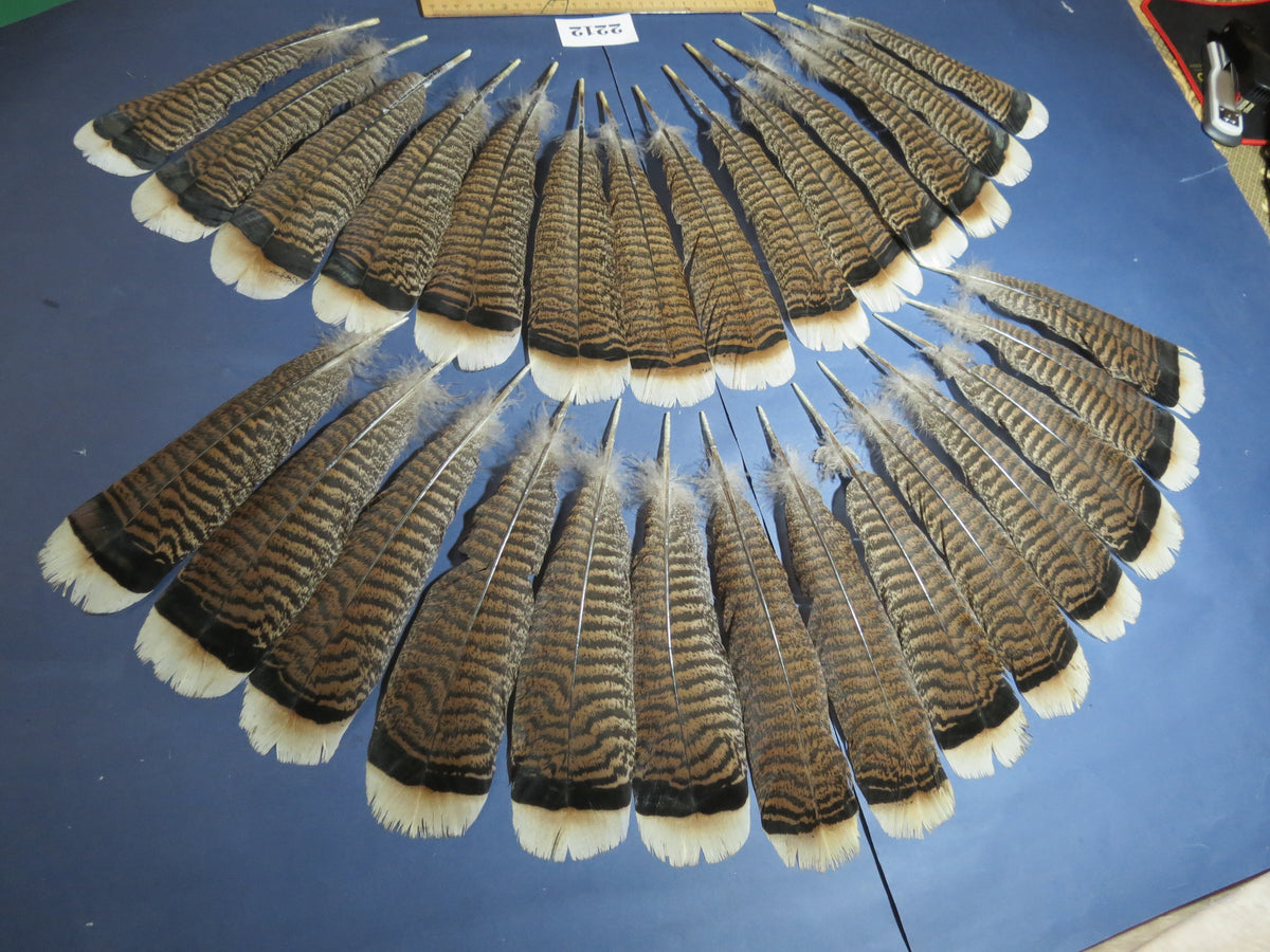 28 Pcs Turkey Tail Feathers, Fly Tying Material,Craft Feathers,Natural Turkey Feathers (2212)