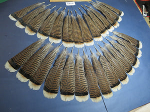 28 Pcs Turkey Tail Feathers, Fly Tying Material,Craft Feathers,Natural Turkey Feathers (2212)