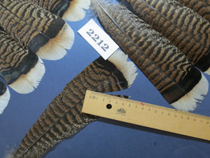 28 Pcs Turkey Tail Feathers, Fly Tying Material,Craft Feathers,Natural Turkey Feathers (2212)