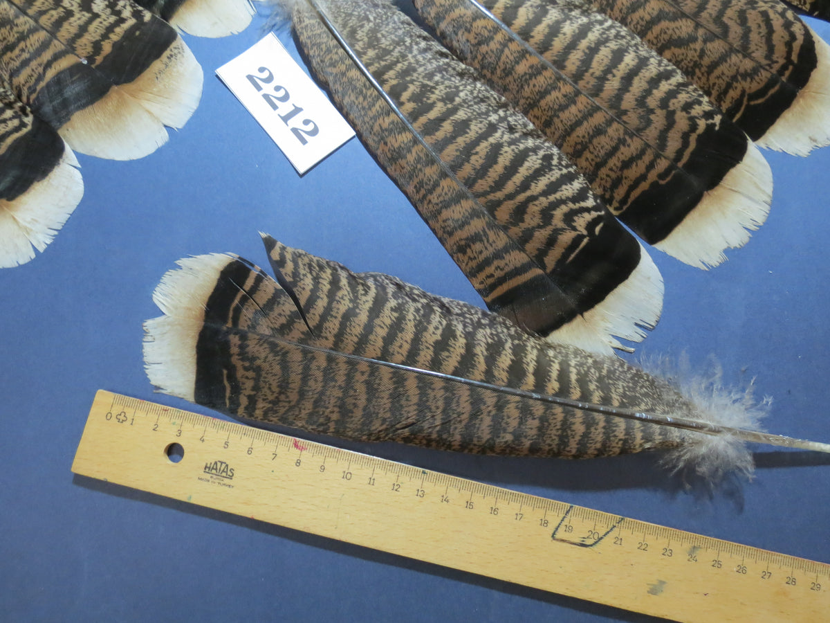 28 Pcs Turkey Tail Feathers, Fly Tying Material,Craft Feathers,Natural Turkey Feathers (2212)