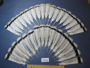 34 Pcs Turkey Tail Feathers, Fly Tying Material,Craft Feathers,Natural Turkey Feathers (2213)
