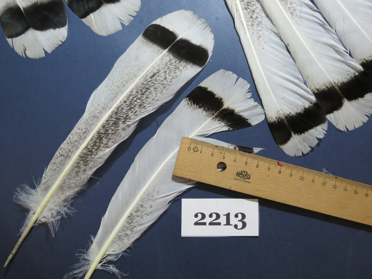 34 Pcs Turkey Tail Feathers, Fly Tying Material,Craft Feathers,Natural Turkey Feathers (2213)