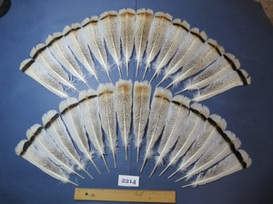 28 Pcs Turkey Tail Feathers, Fly Tying Material,Craft Feathers,Natural Turkey Feathers (2214)