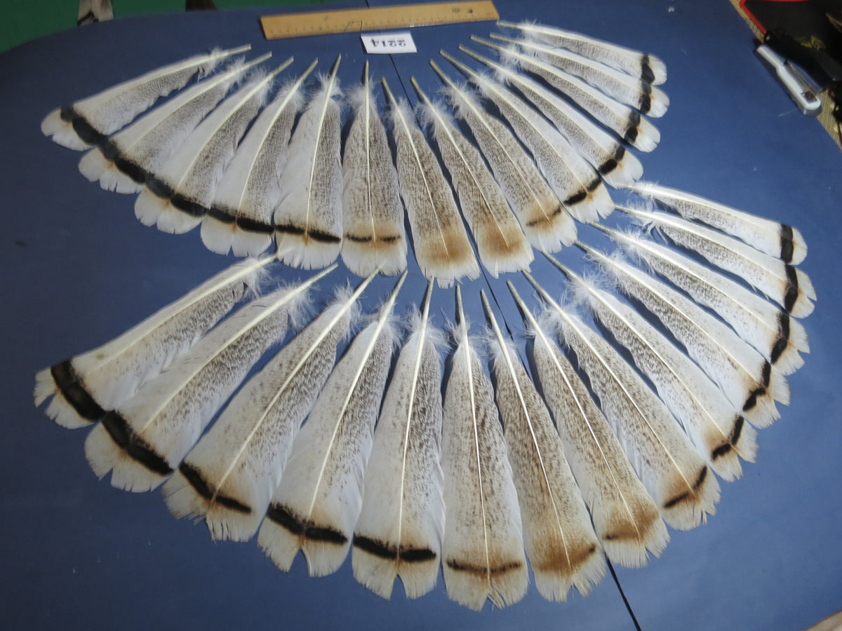 28 Pcs Turkey Tail Feathers, Fly Tying Material,Craft Feathers,Natural Turkey Feathers (2214)