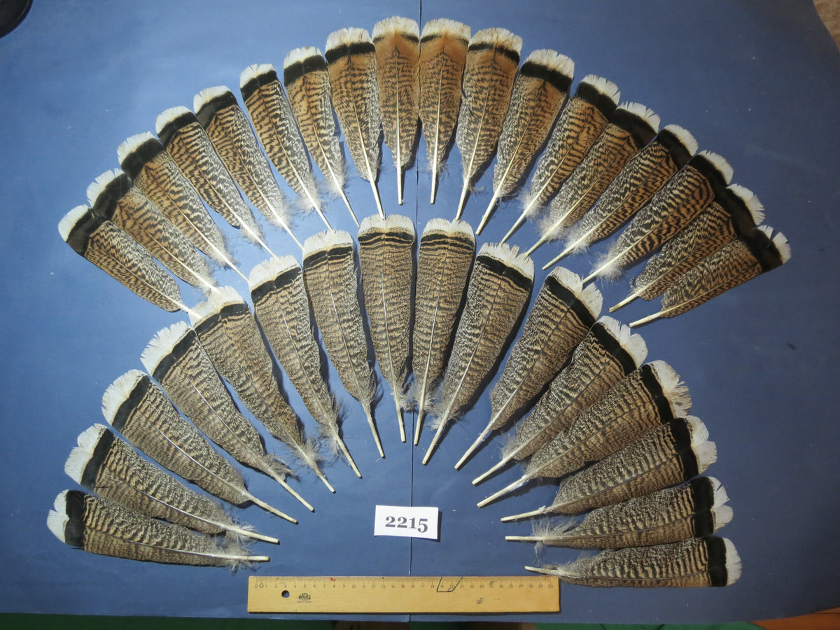 34 Pcs Turkey Tail Feathers, Fly Tying Material,Craft Feathers,Natural Turkey Feathers (2215)