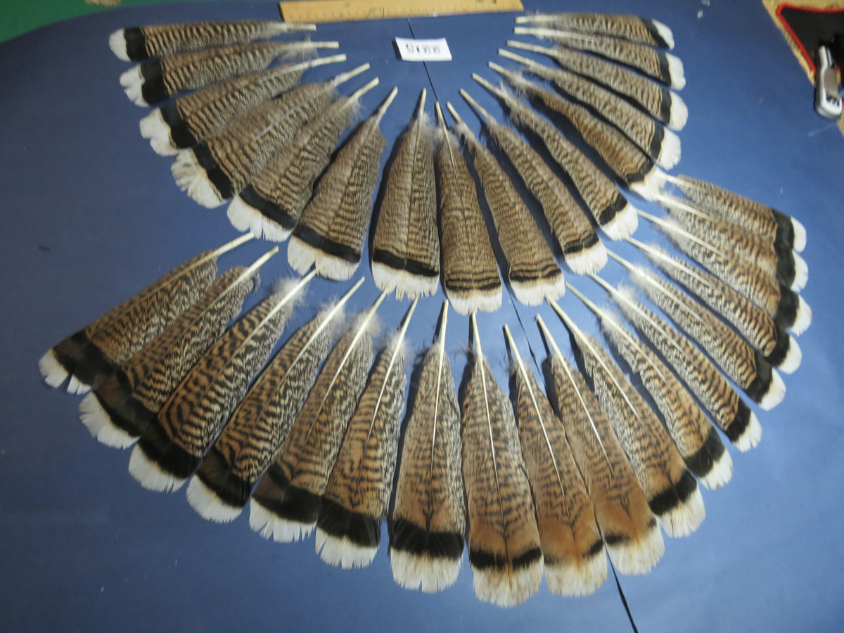 34 Pcs Turkey Tail Feathers, Fly Tying Material,Craft Feathers,Natural Turkey Feathers (2215)