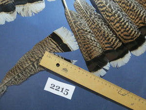 34 Pcs Turkey Tail Feathers, Fly Tying Material,Craft Feathers,Natural Turkey Feathers (2215)