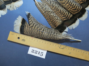 34 Pcs Turkey Tail Feathers, Fly Tying Material,Craft Feathers,Natural Turkey Feathers (2215)