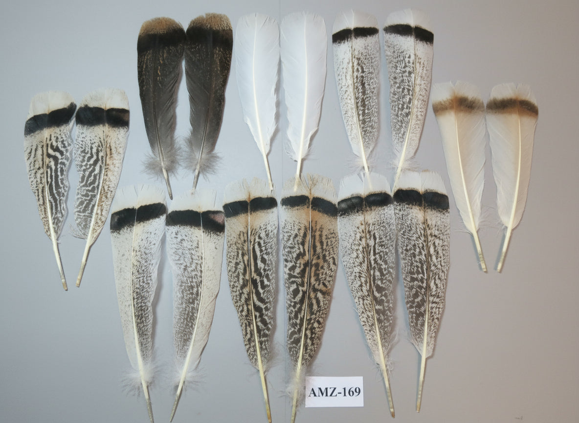 8 Pairs Turkey Feathers, Tail Feathers, Fly Tying Materials, Natural Feathers (AMZ-169)