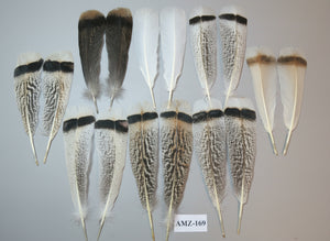 8 Pairs Turkey Feathers, Tail Feathers, Fly Tying Materials, Natural Feathers (AMZ-169)