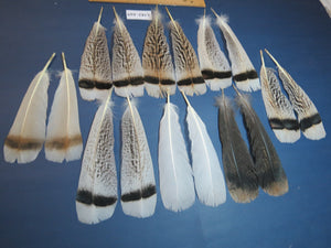 8 Pairs Turkey Feathers, Tail Feathers, Fly Tying Materials, Natural Feathers (AMZ-169)