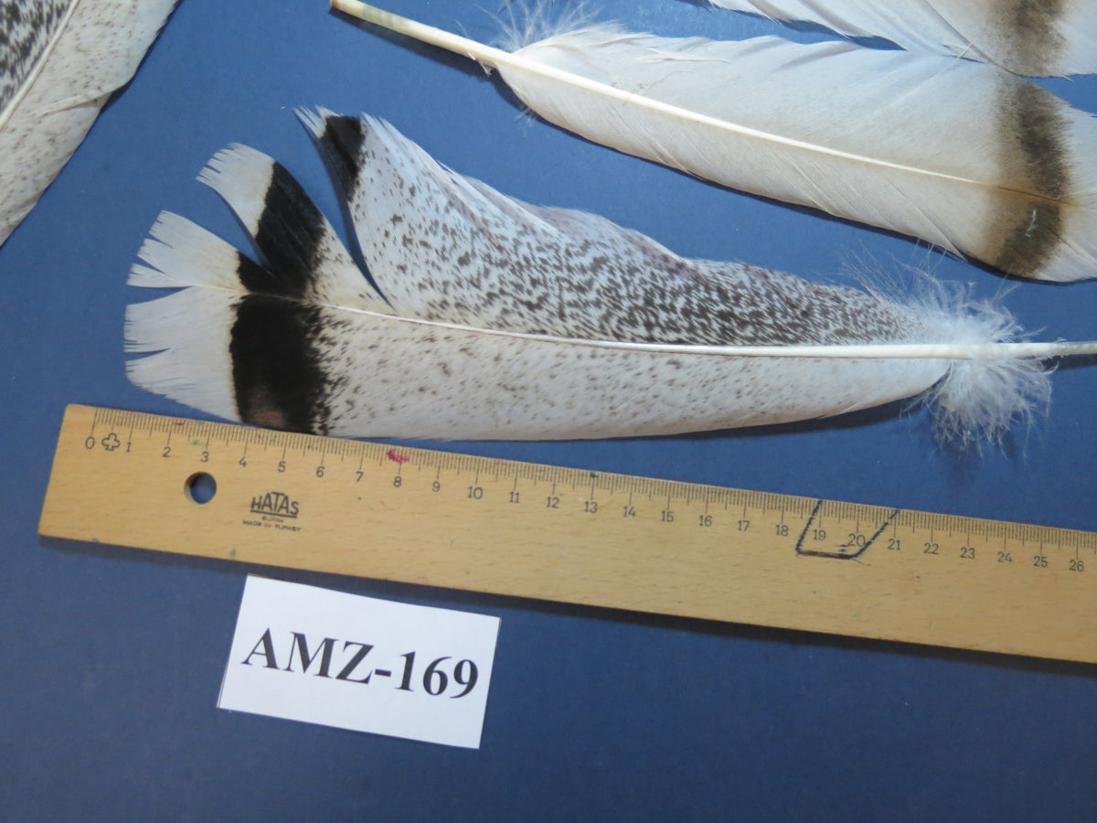 8 Pairs Turkey Feathers, Tail Feathers, Fly Tying Materials, Natural Feathers (AMZ-169)