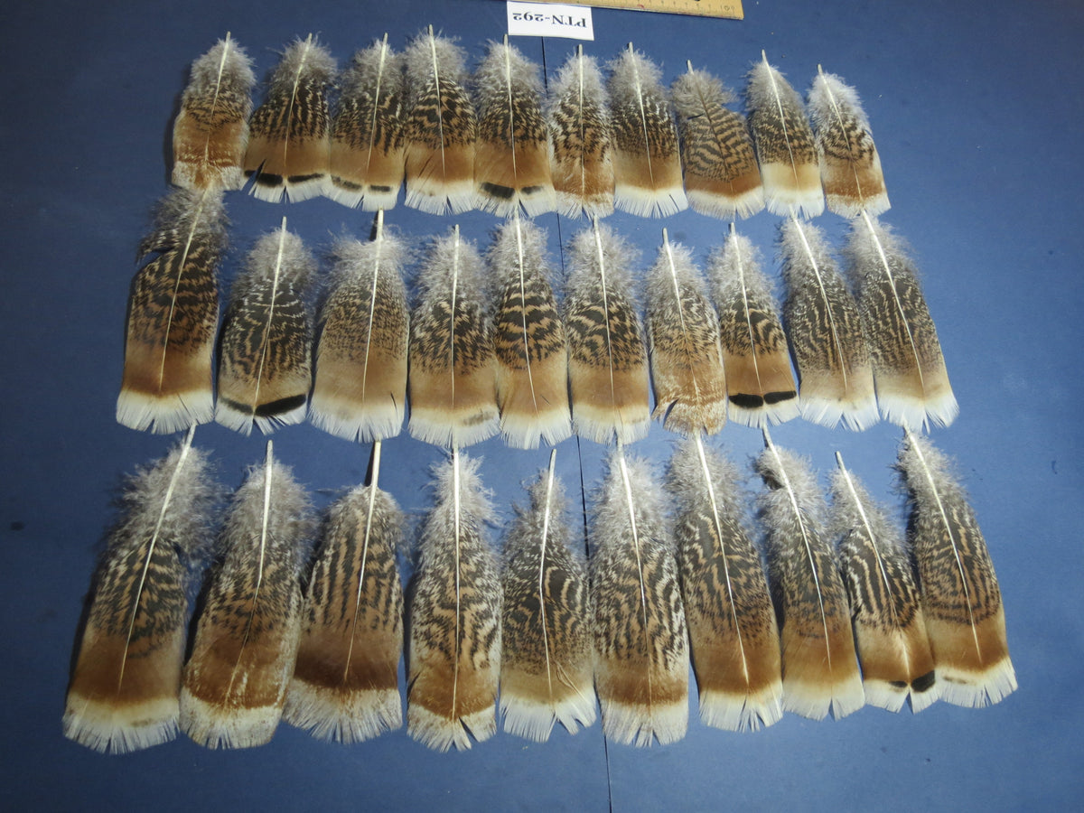 30 Pcs Turkey Pre-Tail Feathers, Fly Tying Material,Craft Feathers,Natural Turkey Feathers (PTN-292)