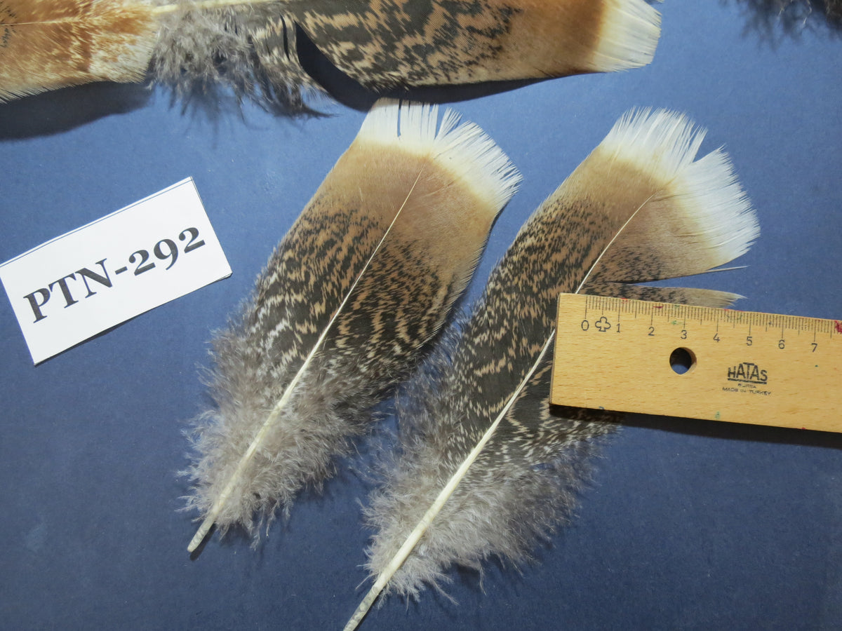30 Pcs Turkey Pre-Tail Feathers, Fly Tying Material,Craft Feathers,Natural Turkey Feathers (PTN-292)