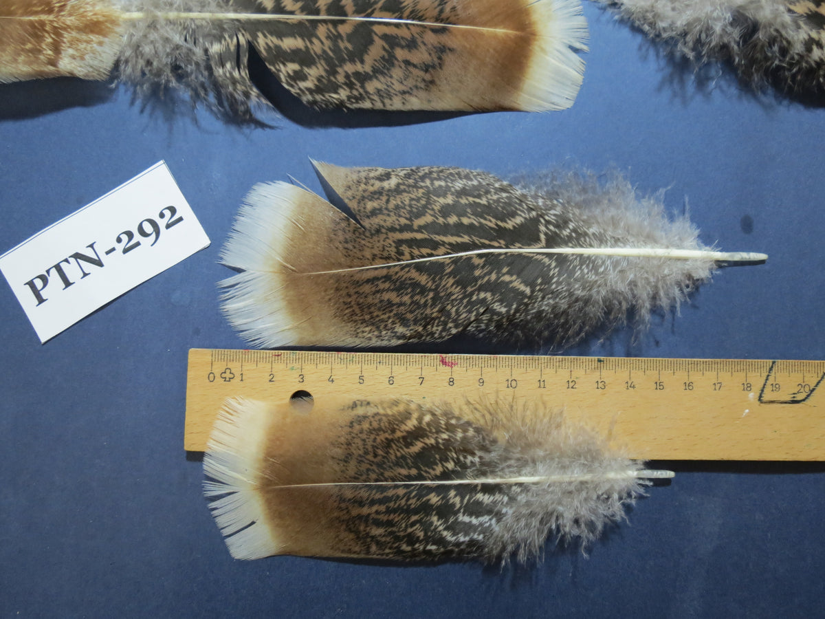 30 Pcs Turkey Pre-Tail Feathers, Fly Tying Material,Craft Feathers,Natural Turkey Feathers (PTN-292)
