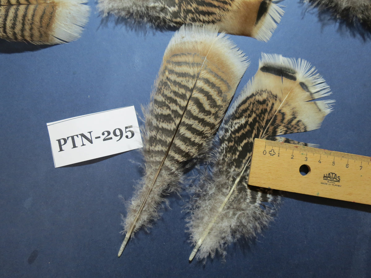 30 Pcs Turkey Pre-Tail Feathers, Fly Tying Material,Craft Feathers,Natural Turkey Feathers (PTN-295)