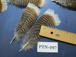 30 Pcs Turkey Pre-Tail Feathers, Fly Tying Material,Craft Feathers,Natural Turkey Feathers (PTN-297)