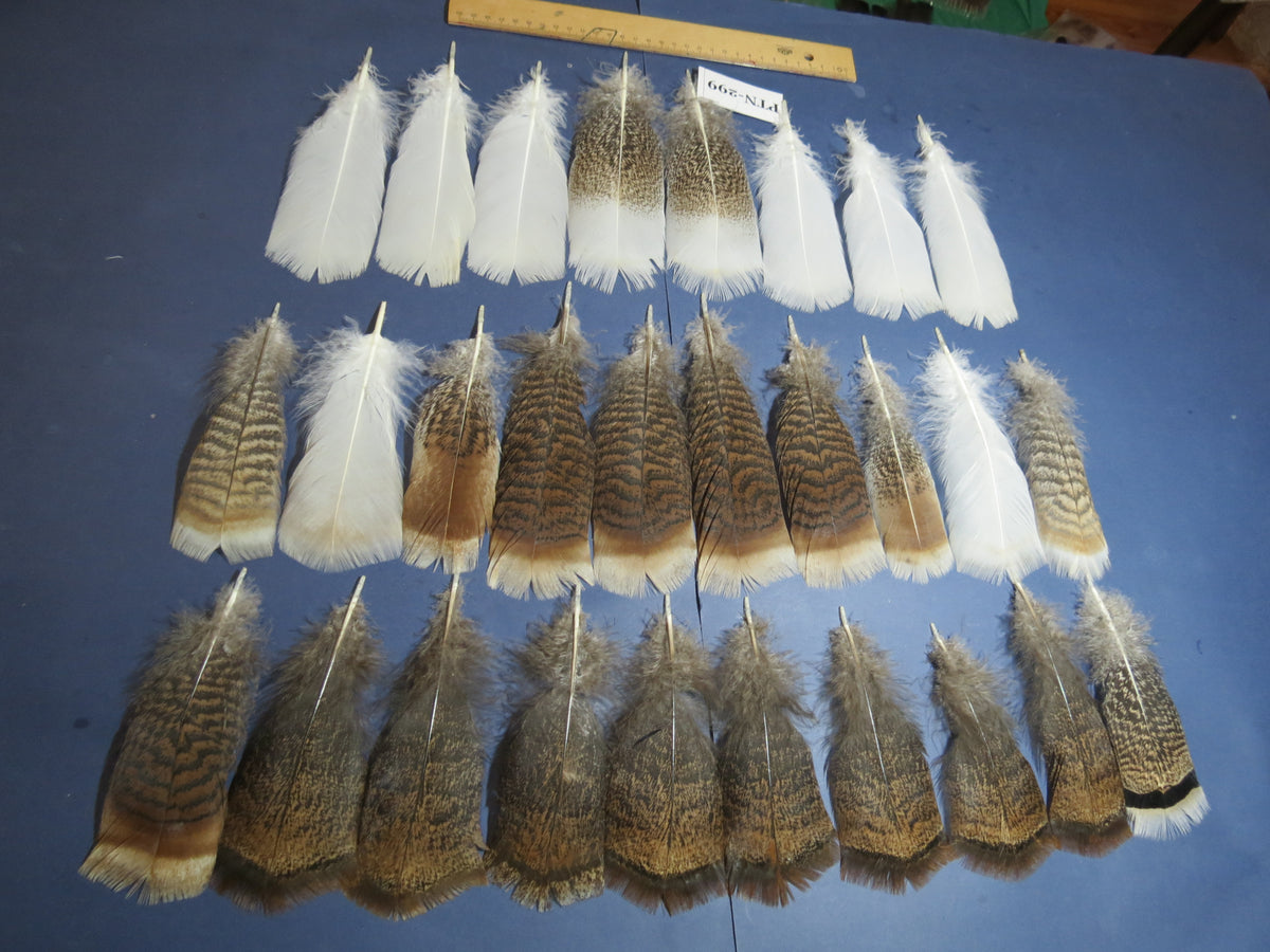 30 Pcs Turkey Pre-Tail Feathers, Fly Tying Material,Craft Feathers,Natural Turkey Feathers (PTN-299)