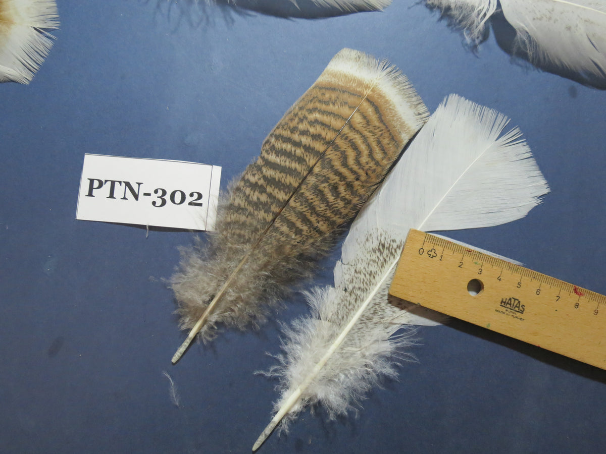 30 Pcs Turkey Pre-Tail Feathers, Fly Tying Material,Craft Feathers,Natural Turkey Feathers (PTN-302)