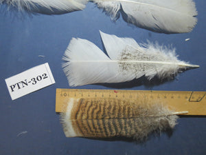 30 Pcs Turkey Pre-Tail Feathers, Fly Tying Material,Craft Feathers,Natural Turkey Feathers (PTN-302)