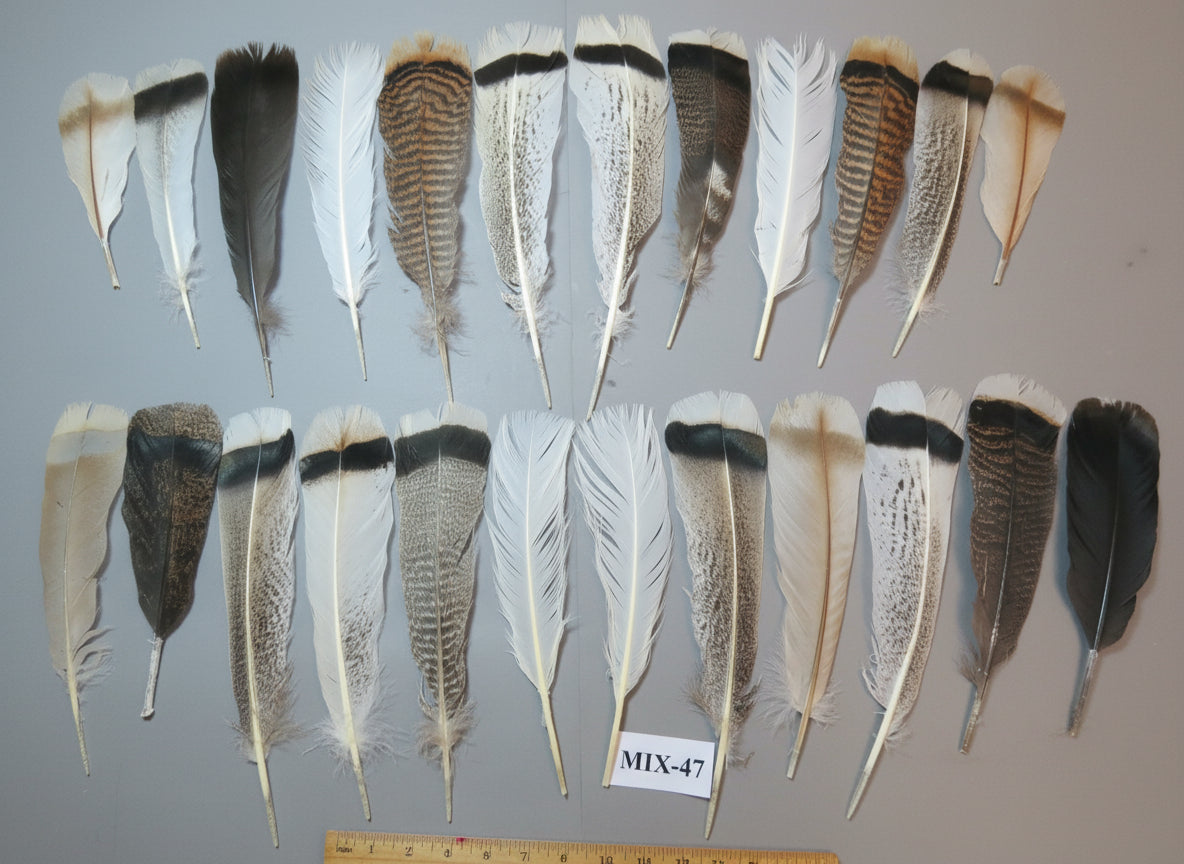 24 Pcs Natural Turkey Tail Feathers, Fly Tying Materials, Genuine Feathers (MIX-47)