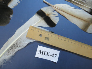 24 Pcs Natural Turkey Tail Feathers, Fly Tying Materials, Genuine Feathers (MIX-47)