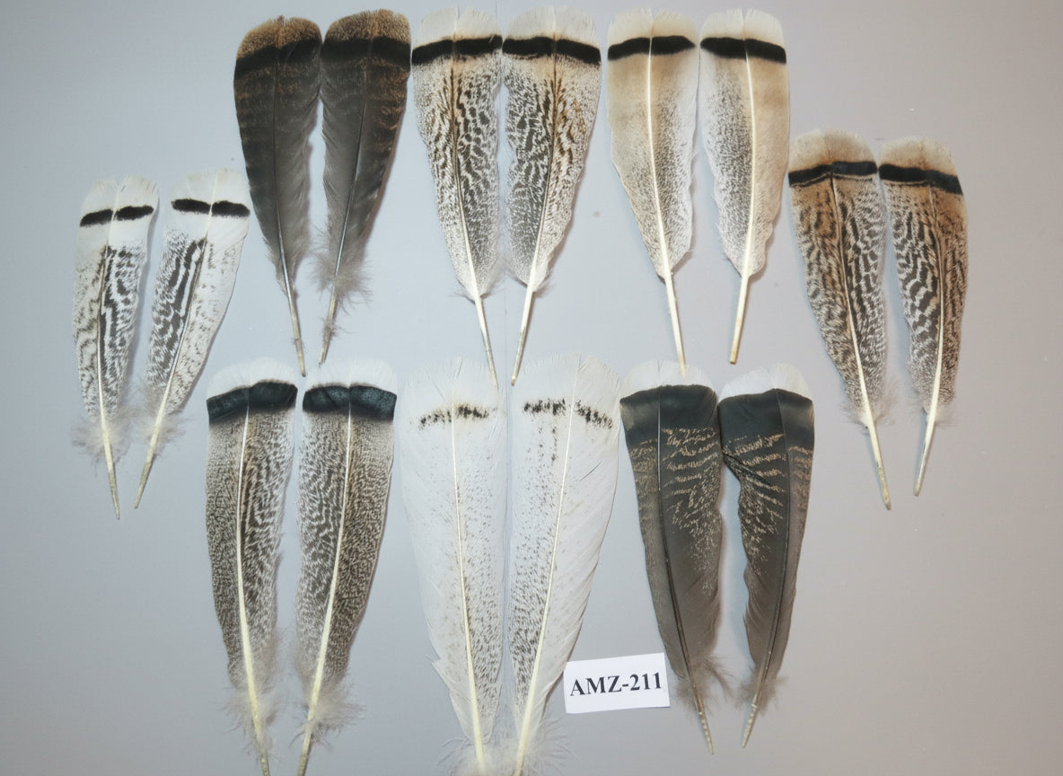 8 Pairs Turkey Feathers, Tail Feathers, Fly Tying Materials, Natural Feathers (AMZ-211)